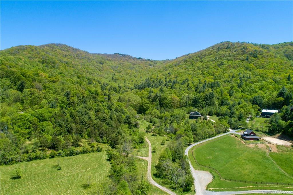 9999 Rice Branch Road Asheville, NC 28804 - Photo 3 of 43 Gallery Image 3
