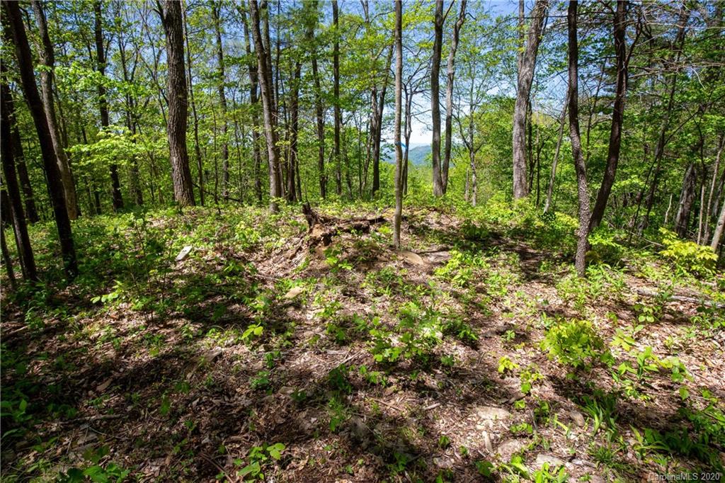 9999 Rice Branch Road Asheville, NC 28804 - Photo 23 of 43 Gallery Image 23