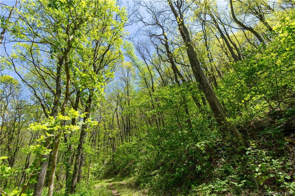9999 Rice Branch Road Asheville, NC 28804 - Photo 26 of 43 Gallery Image 26