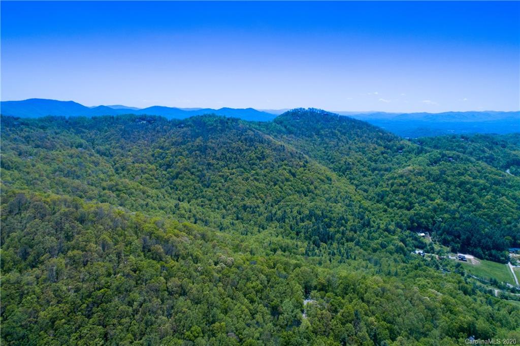 9999 Rice Branch Road Asheville, NC 28804 - Photo 27 of 43 Gallery Image 27