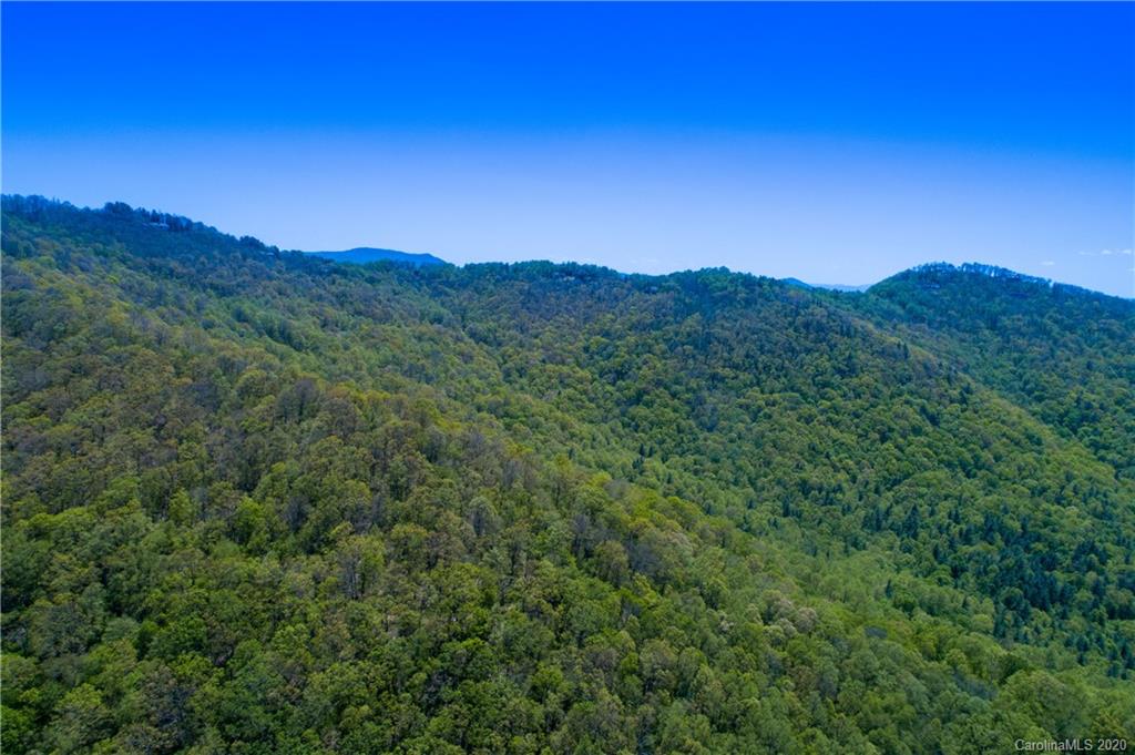9999 Rice Branch Road Asheville, NC 28804 - Photo 4 of 43 Gallery Image 4
