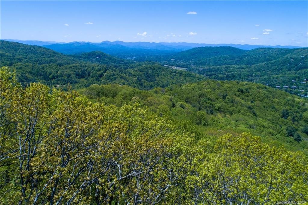 9999 Rice Branch Road Asheville, NC 28804 - Photo 31 of 43 Gallery Image 31