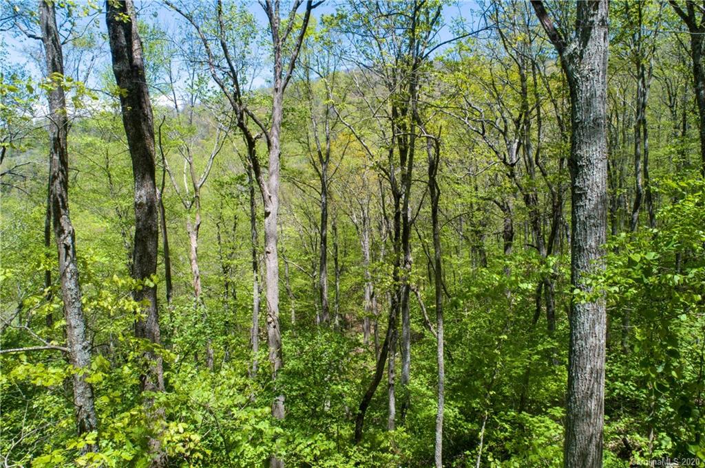 9999 Rice Branch Road Asheville, NC 28804 - Photo 32 of 43 Gallery Image 32