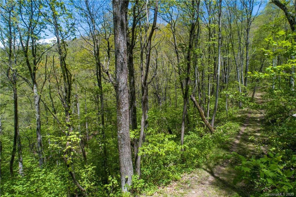 9999 Rice Branch Road Asheville, NC 28804 - Photo 35 of 43 Gallery Image 35