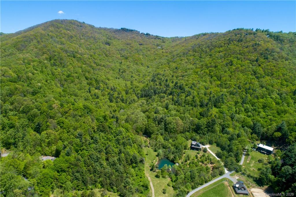 9999 Rice Branch Road Asheville, NC 28804 - Photo 38 of 43 Gallery Image 38