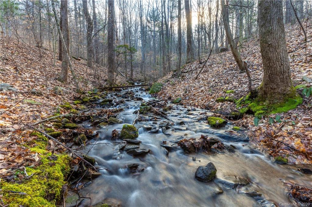 9999 Rice Branch Road Asheville, NC 28804 - Photo 5 of 43 Gallery Image 5