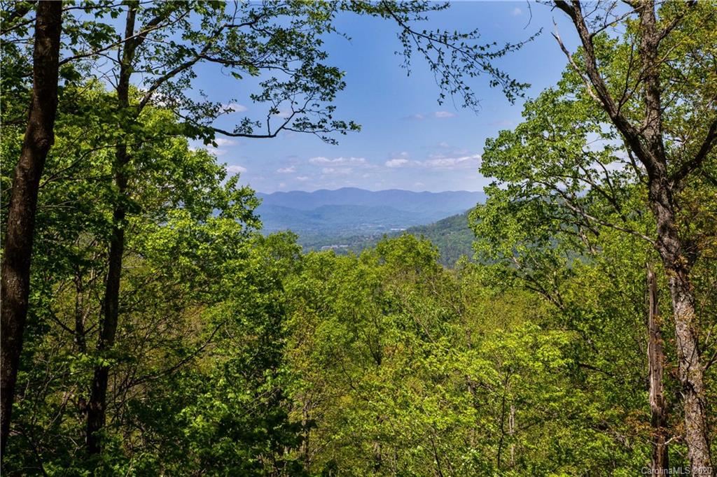 9999 Rice Branch Road Asheville, NC 28804 - Photo 8 of 43 Gallery Image 8