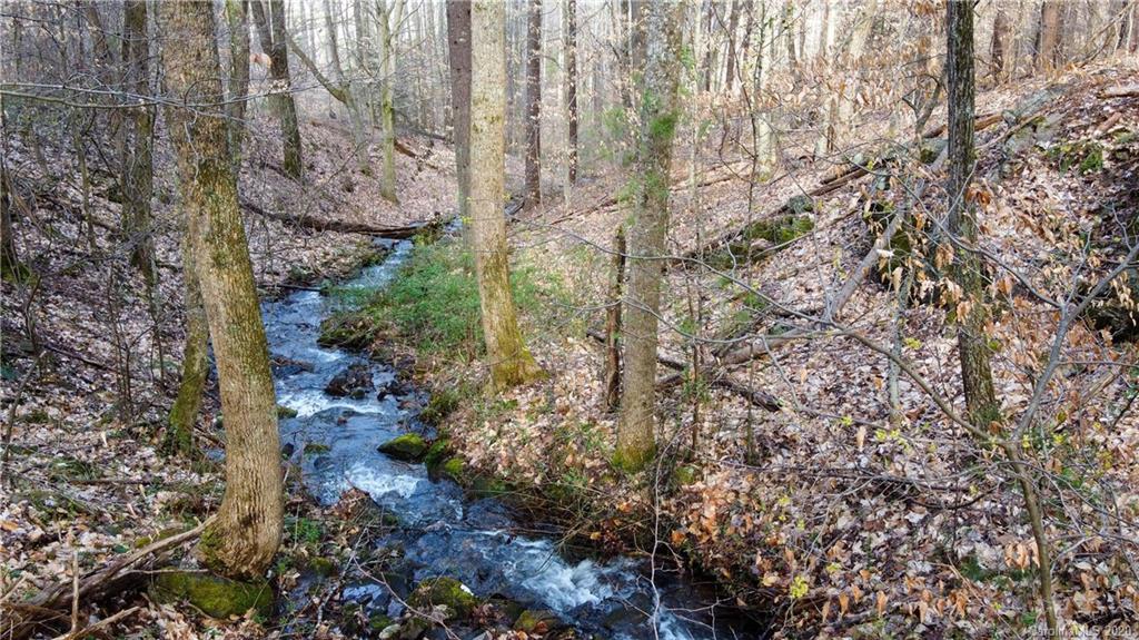 9999 Rice Branch Road Asheville, NC 28804 - Photo 9 of 43 Gallery Image 9