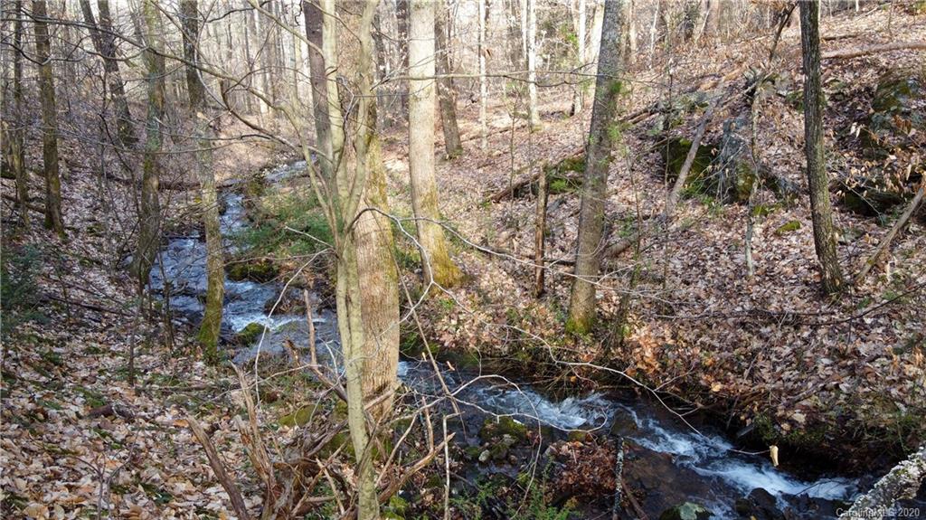 9999 Rice Branch Road Asheville, NC 28804 - Photo 10 of 43 Gallery Image 10