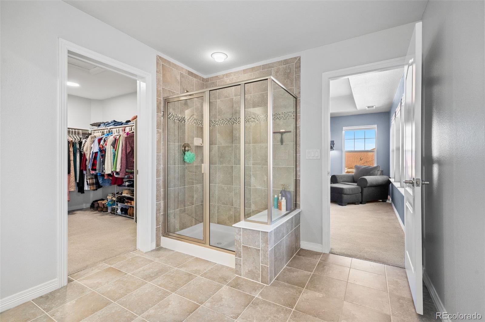 2910 El Nido Way Castle Rock, CO 80108 - Photo 23 of 50 a living room with furniture and a glass door shower