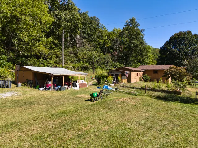a view of a yard with plants and trees