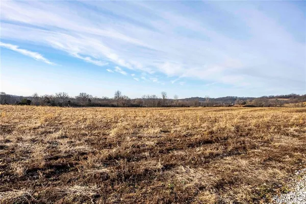 $1 | 0 Evans Lane, Elsberry, MO 63343