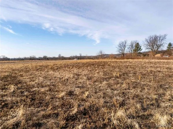 $1 | 0 Evans Lane, Elsberry, MO 63343