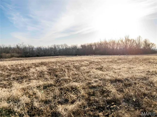 $1 | 0 Evans Lane, Elsberry, MO 63343