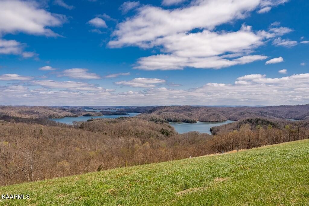 58 Mallard Road Celina, TN 38551 - Photo 20 of 26 Gallery Image 20