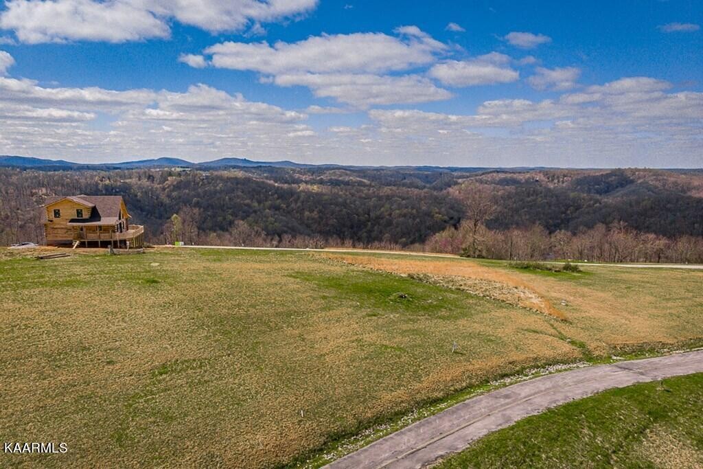 58 Mallard Road Celina, TN 38551 - Photo 2 of 26 Gallery Image 2
