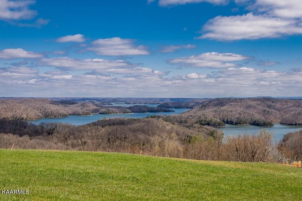 58 Mallard Road Celina, TN 38551 - Photo 21 of 26 Gallery Image 21