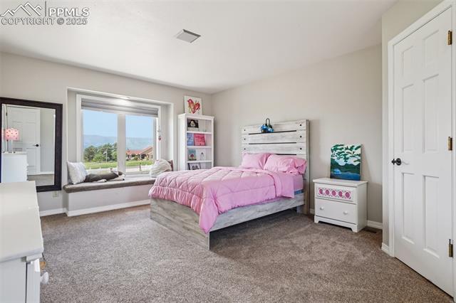14425 Granby Road Colorado Springs, CO 80921 - Photo 27 of 45 Carpeted bedroom featuring baseboards
