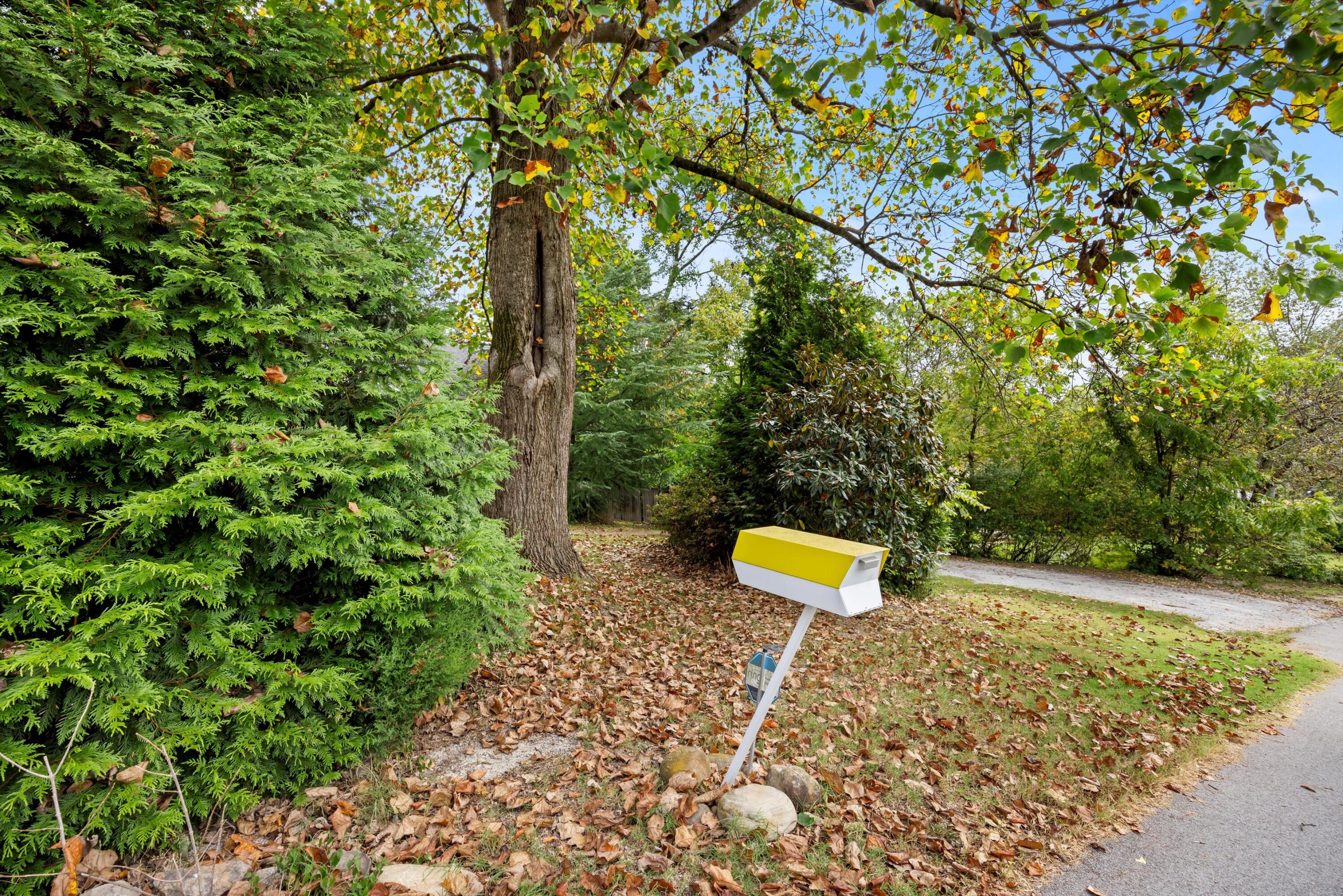 711 Mauldeth Road Chattanooga, TN 37415 - Photo 36 of 49 36-IMG_5713