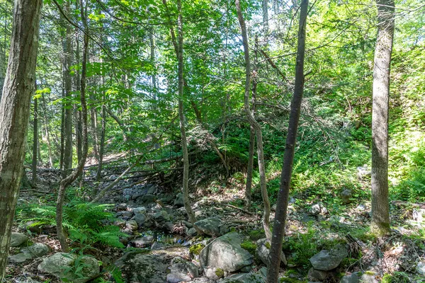 $265,000 | 0 Mountain Arrow Drive, Unit LOT B, Camden, ME 04843