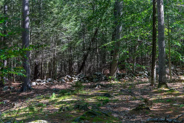 $265,000 | 0 Mountain Arrow Drive, Unit LOT B, Camden, ME 04843