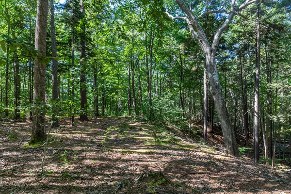 $265,000 | 0 Mountain Arrow Drive, Unit LOT B, Camden, ME 04843