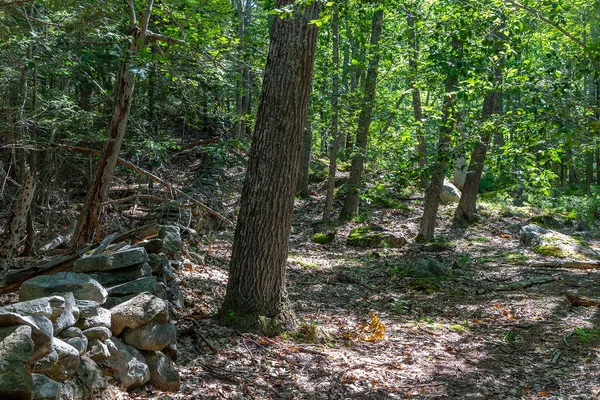 $265,000 | 0 Mountain Arrow Drive, Unit LOT B, Camden, ME 04843