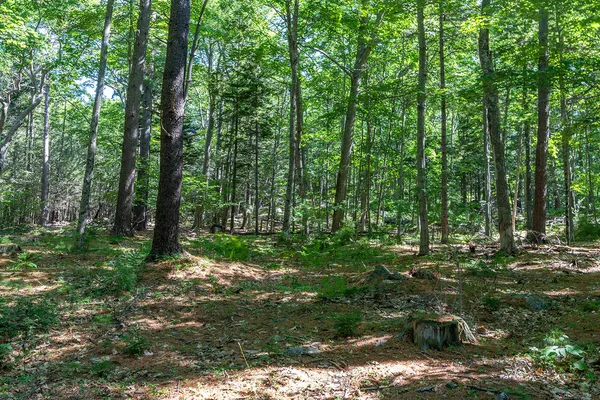 $265,000 | 0 Mountain Arrow Drive, Unit LOT B, Camden, ME 04843