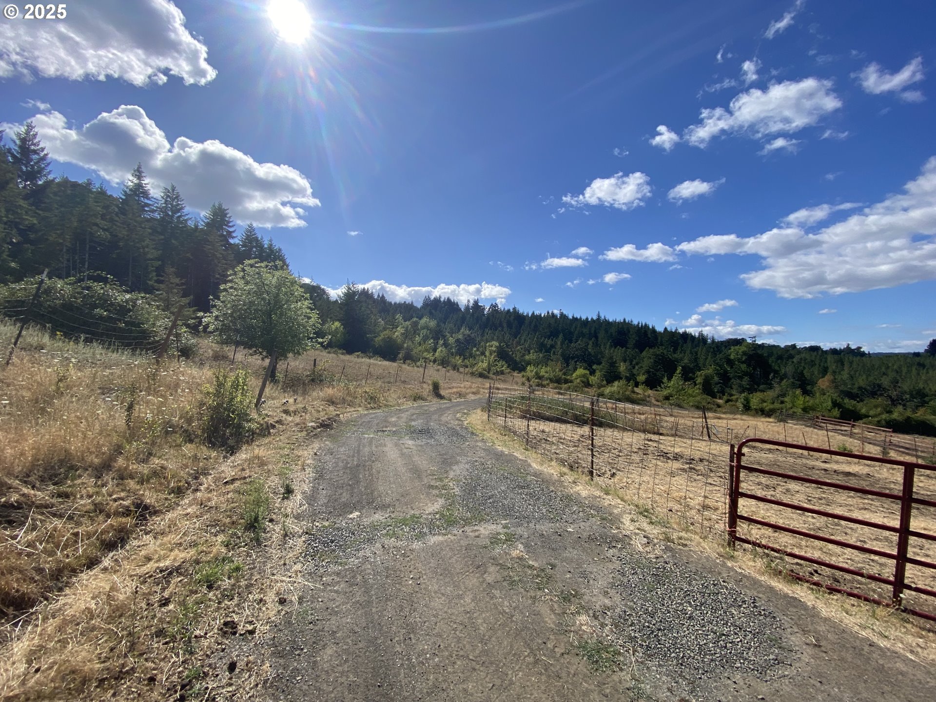 7555 Sawtell Road Sheridan, OR 97378 - Photo 21 of 31 a view of a terrace with yard