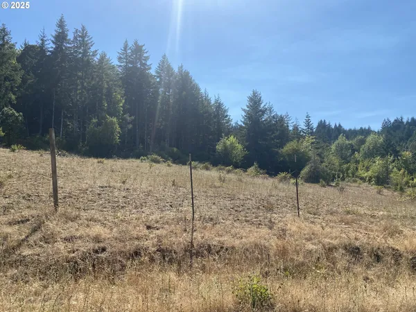 a view of a covered with snow