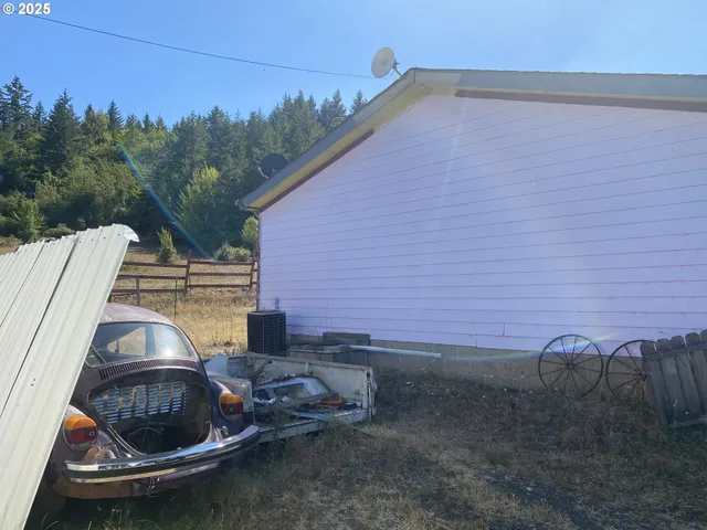a view of a backyard with plants and trees