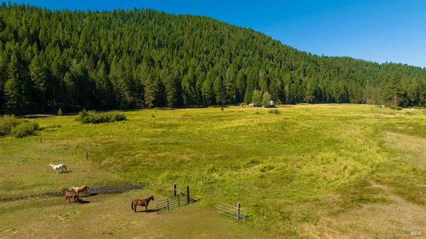 $3,500,000 | 1200 Golden Feather Ranch Road, Blairsden Graeagle, CA 96103