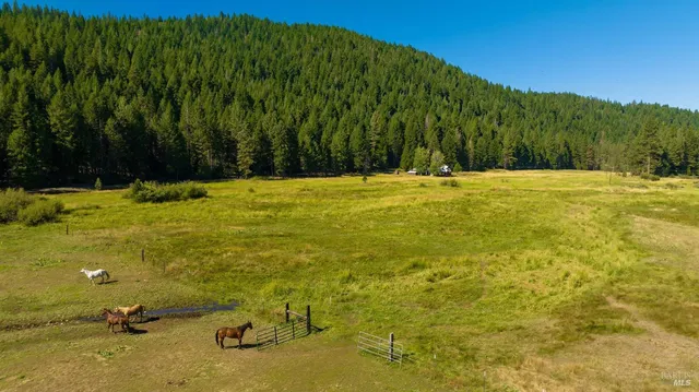 $3,500,000 | 1200 Golden Feather Ranch Road, Blairsden Graeagle, CA 96103