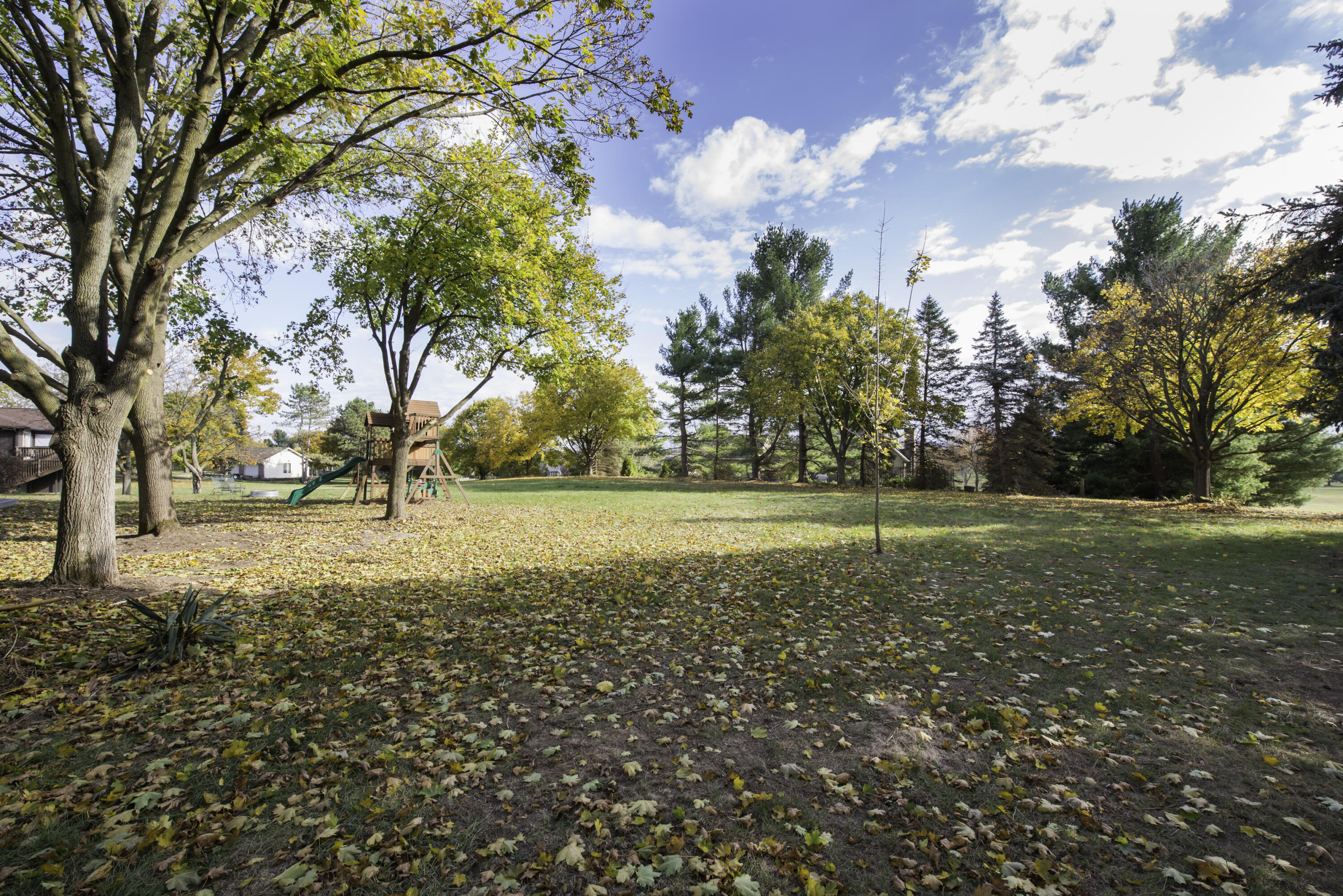 3301 Textile Road Saline, MI 48176 - Photo 50 of 57 Back Yard