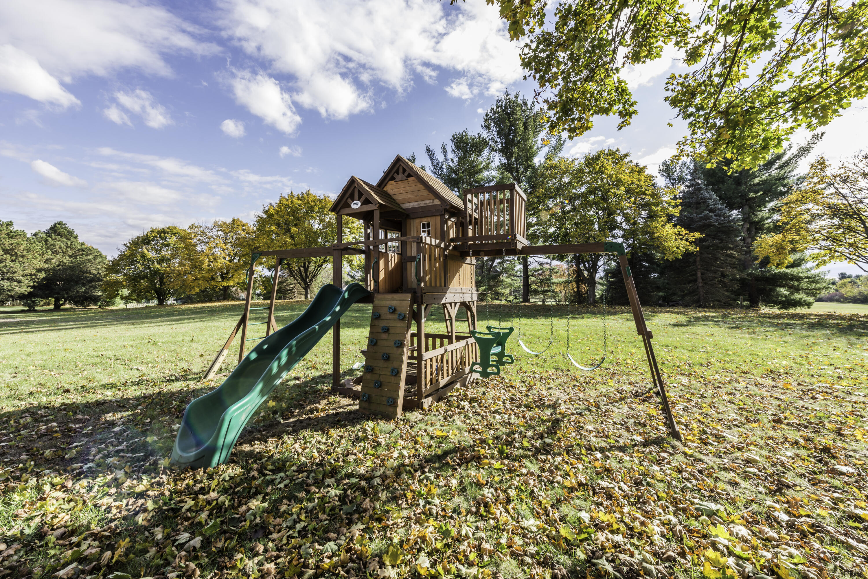 3301 Textile Road Saline, MI 48176 - Photo 54 of 57 Play Structure