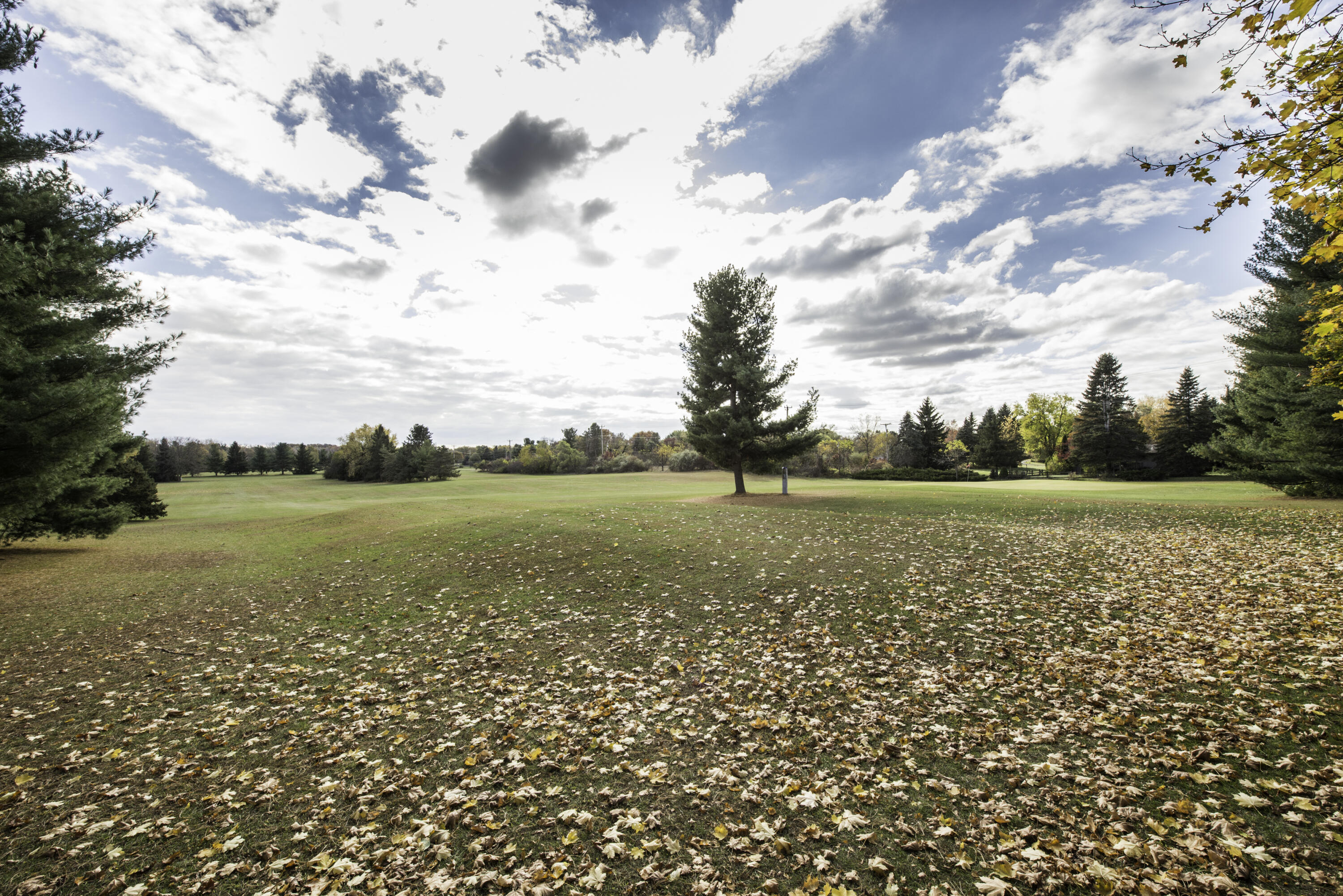 3301 Textile Road Saline, MI 48176 - Photo 56 of 57 Backs to a Golf Course
