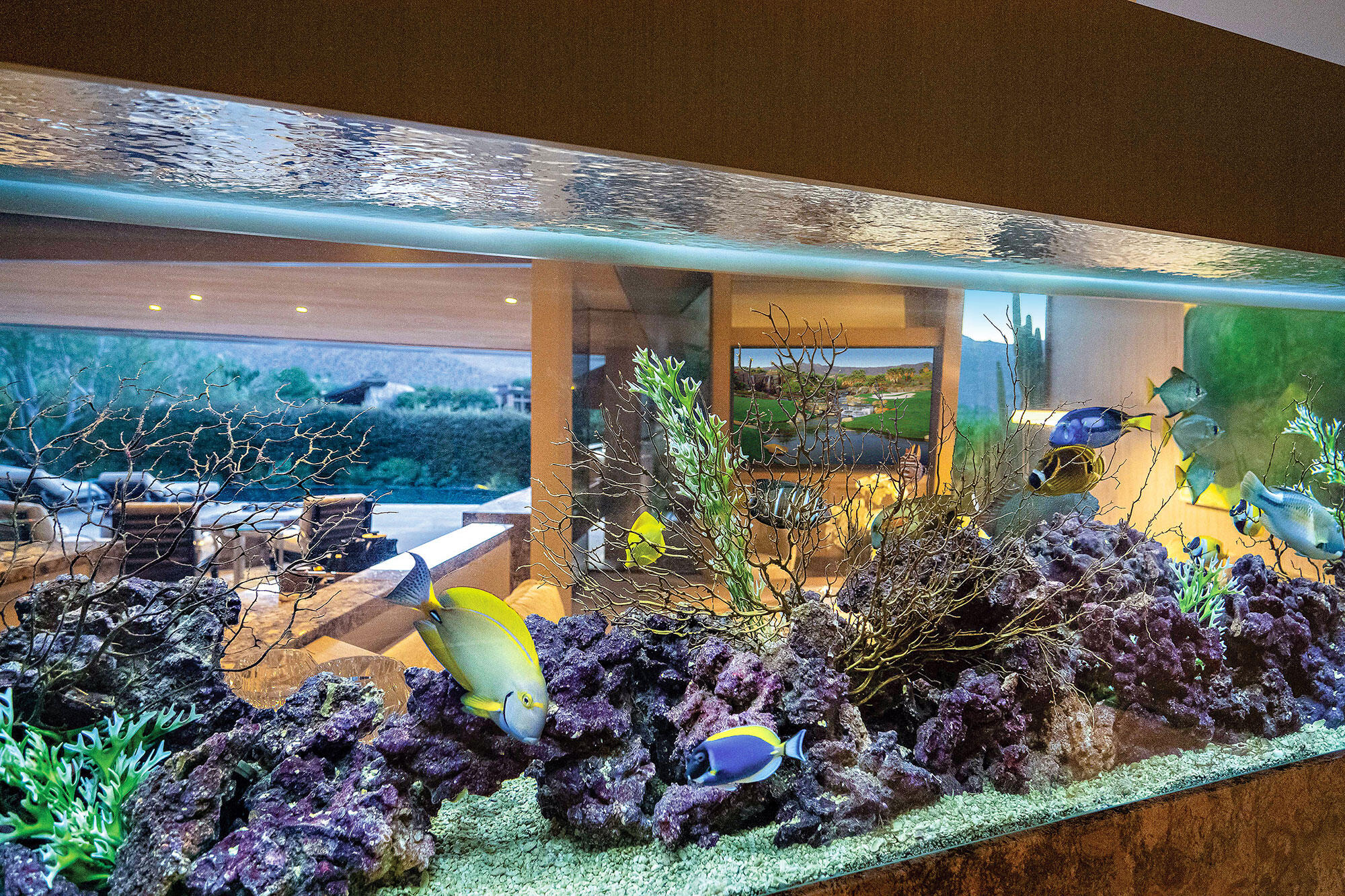 642 Pinnacle Crest Palm Desert, CA 92260 - Photo 18 of 29 a view of a swimming pool with a patio