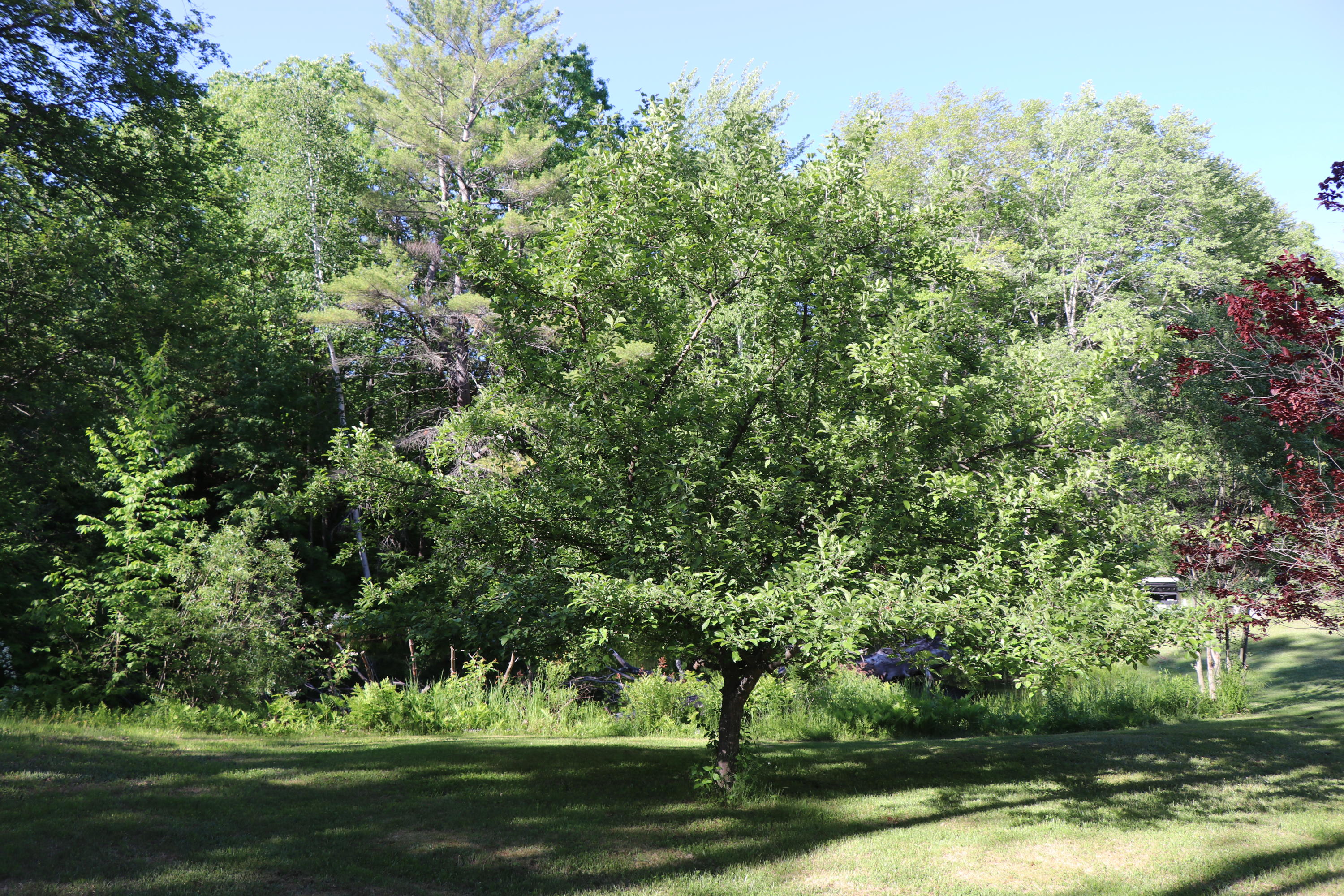 22 Vermette Lane Springvale, ME 04083 - Photo 34 of 37 IMG_2733