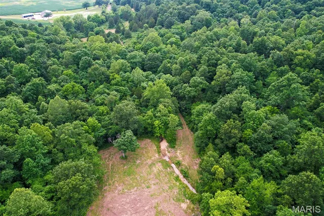 $322,500 | 21202 State Hwy MM, Glenallen, MO 63751