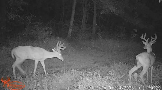 $322,500 | 21202 State Hwy MM, Glenallen, MO 63751