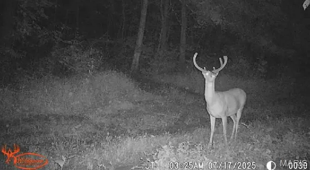 $322,500 | 21202 State Hwy MM, Glenallen, MO 63751