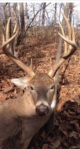 $322,500 | 21202 State Hwy MM, Glenallen, MO 63751