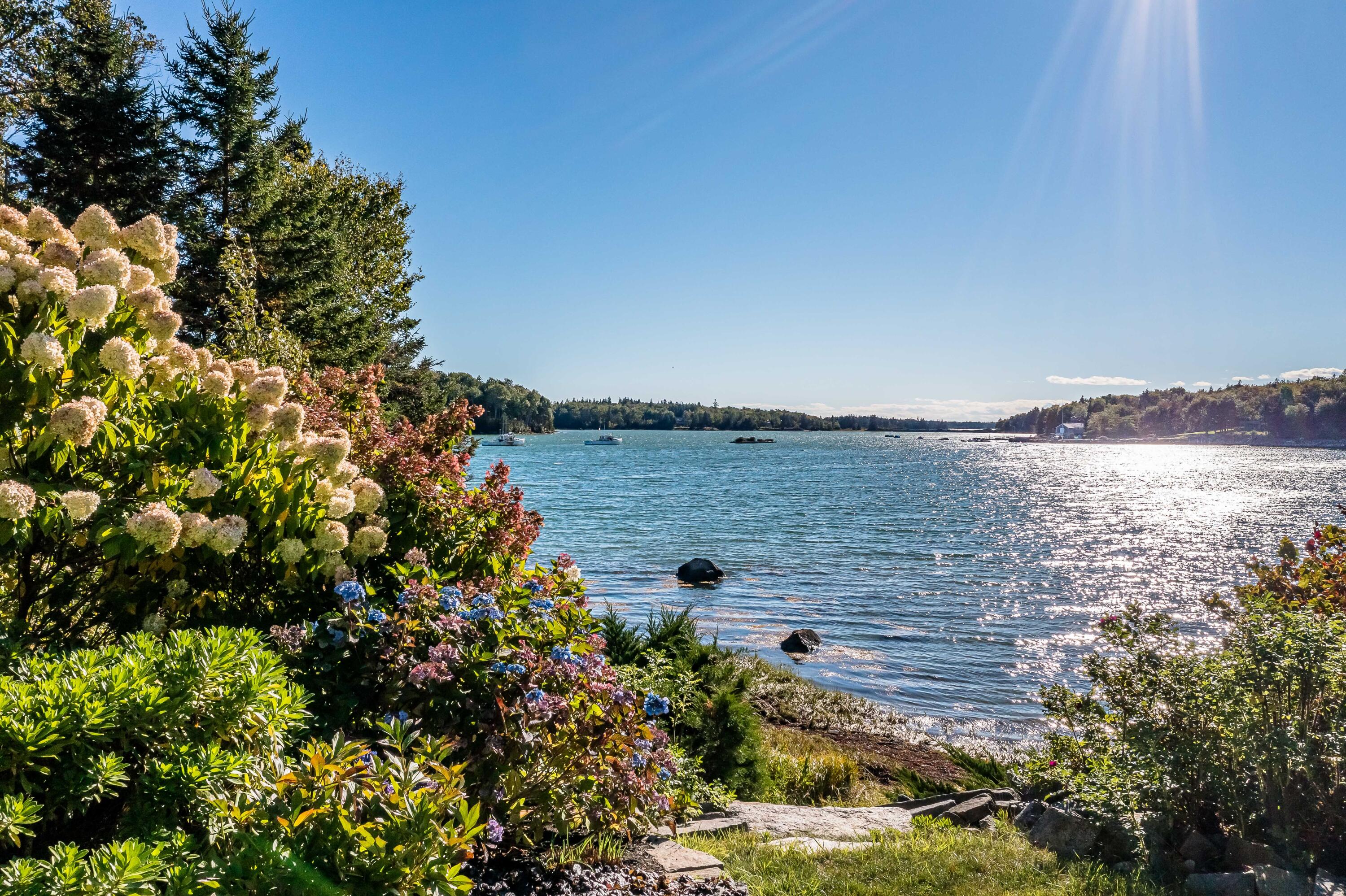 126 Patten Point Road Spruce Head, ME 04859 - Photo 63 of 64 Waterside Blooms & Steps to Shore