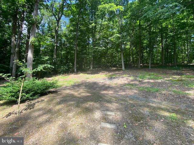 1718 Ballenger Creek Point Point of Rocks, MD 21777 - Photo 18 of 45 a backyard of a house with lots of green space