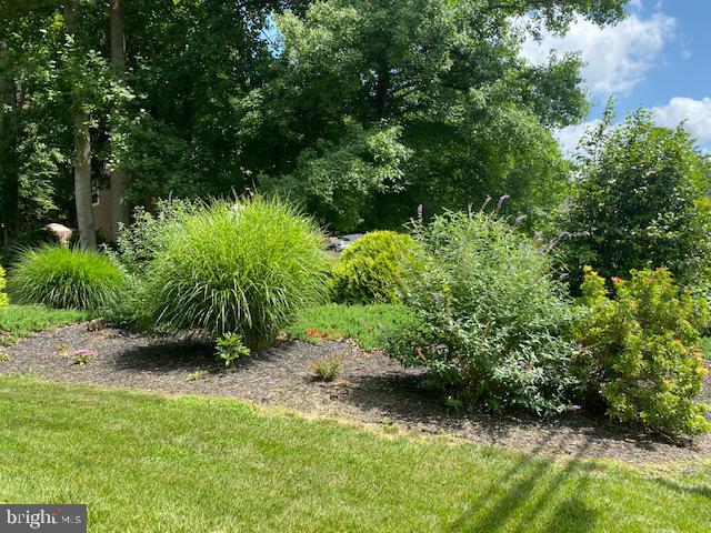 1718 Ballenger Creek Point Point of Rocks, MD 21777 - Photo 31 of 45 a view of a yard