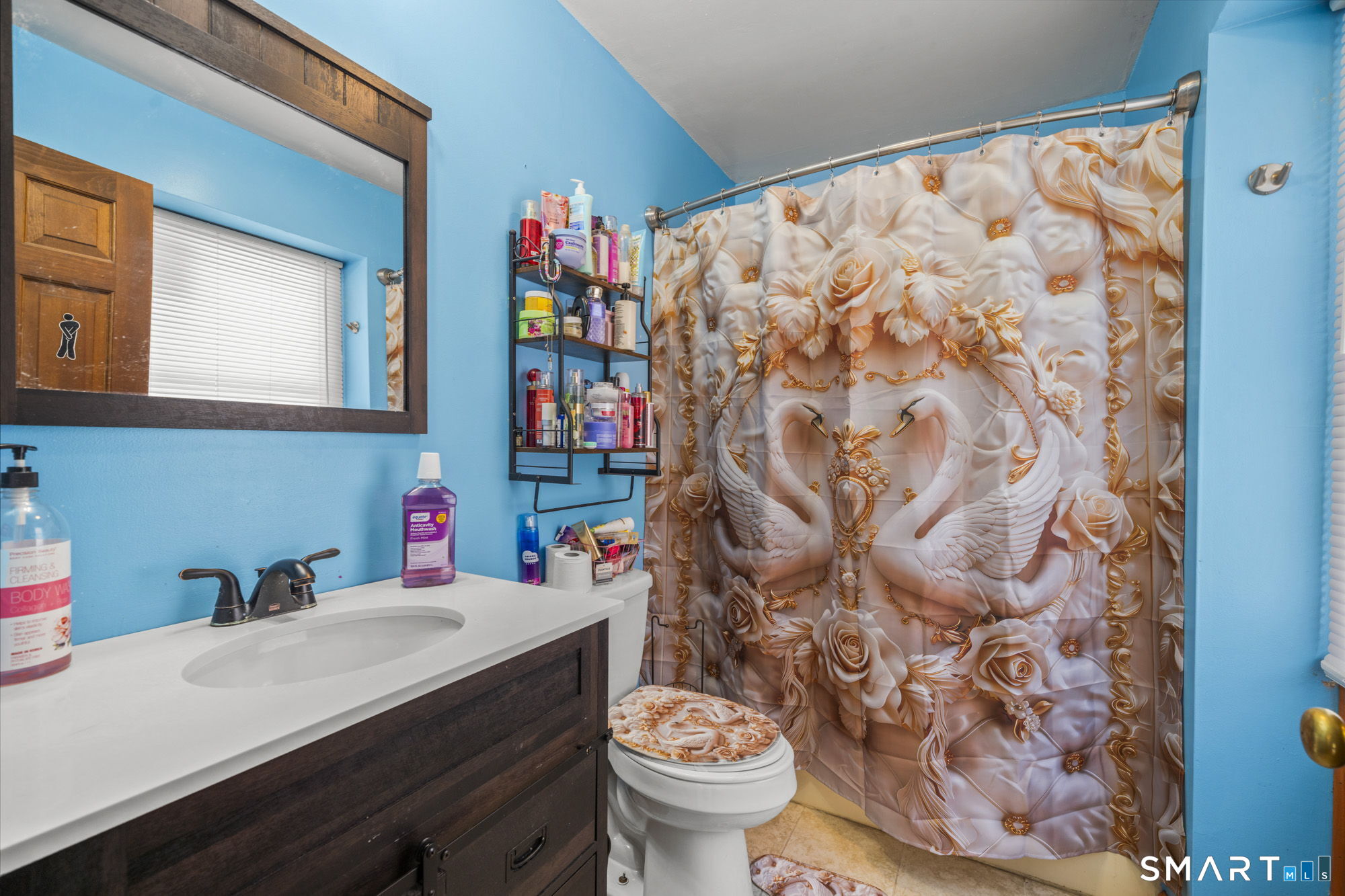 184 Black Hill Road Plainfield, CT 06374 - Photo 26 of 39 a bathroom with a sink toilet and a mirror