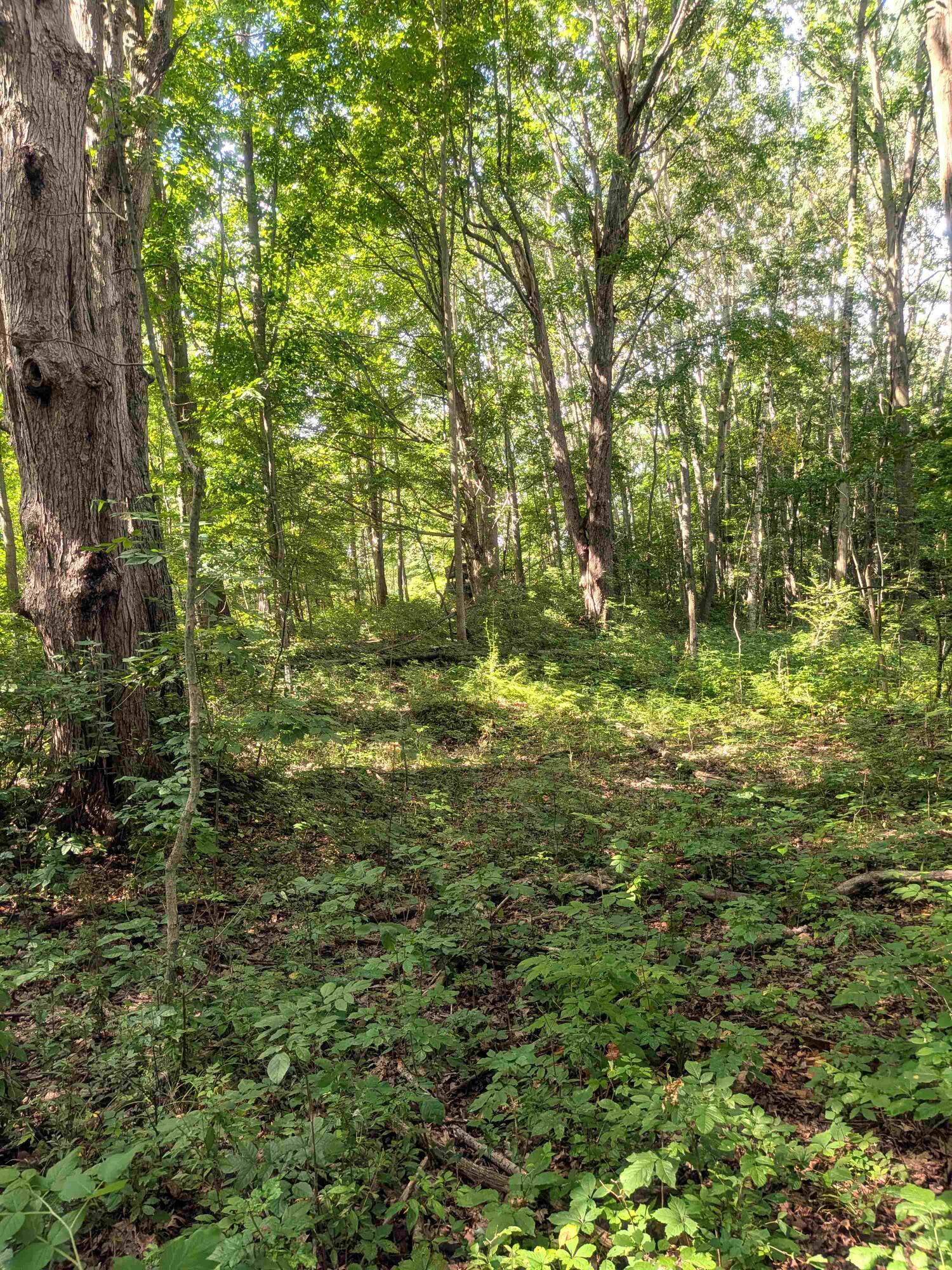 7541 East Bevens Road Deford, MI 48729 - Photo 12 of 29 19