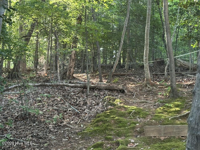 194 Ingram Mill Road Ellerbe, NC 28338 - Photo 19 of 28