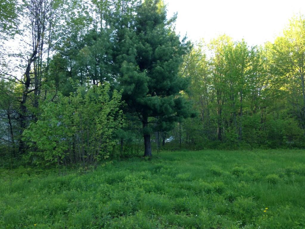 620 Edinburg Road Howland, ME 04448 - Photo 5 of 9 Land for Sale in Maine