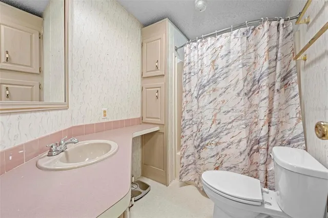 a bathroom with a sink a toilet and shower curtain